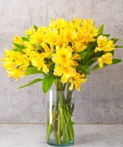 Yellow Alstroemerias