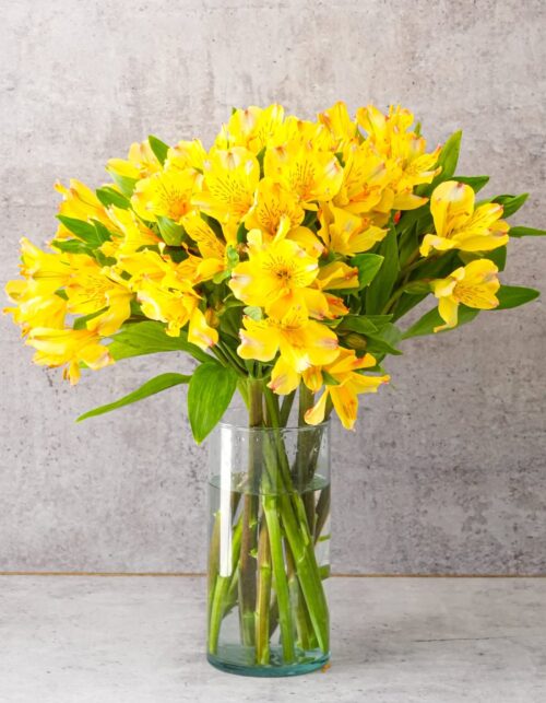 Yellow Alstroemerias