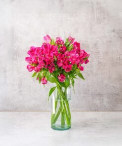 Hot Pink Alstroemerias