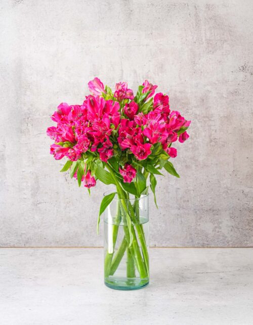 Hot Pink Alstroemerias