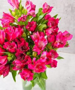 Alternative view of Hot Pink Alstroemerias