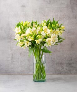 White Alstroemerias