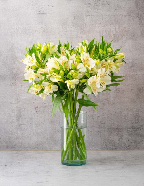 White Alstroemerias