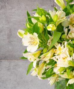 Alternative view of White Alstroemerias