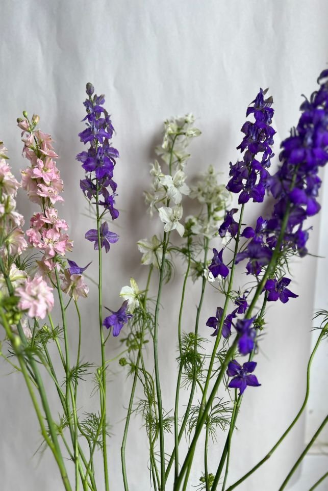 Sunlit Garden Box - Image 4