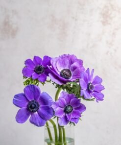Blue Anemones