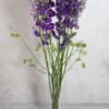 Purple Larkspur