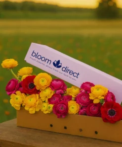 Vibrant Anemone & Ranunculus Box