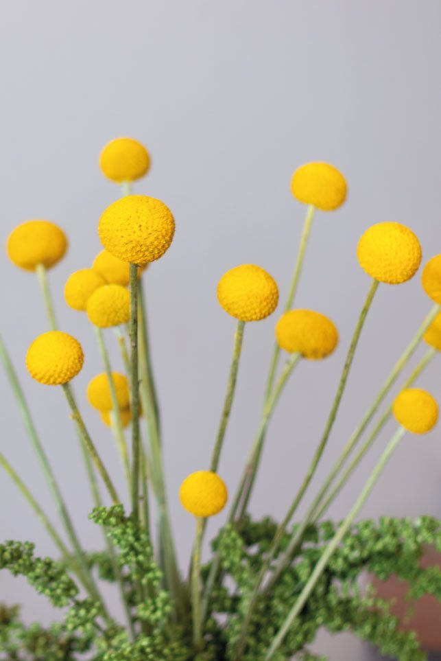 Sunlit Garden Box - Image 2