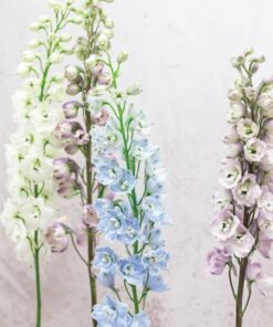 Alternative view of Elegant Garden Blend