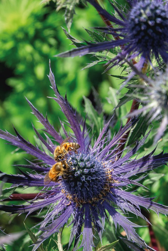 Spring Accent Floral Box - Image 4