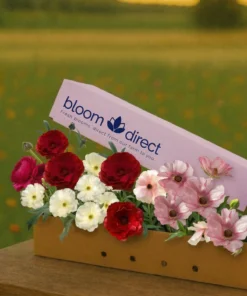 Butterfly Ranunculus Box 1