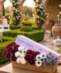 Modern Romance Box