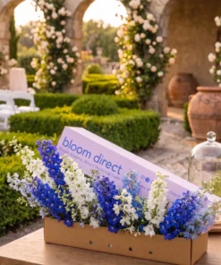 Skyline Ceremony Box