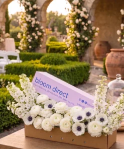 White Symphony Wedding Box
