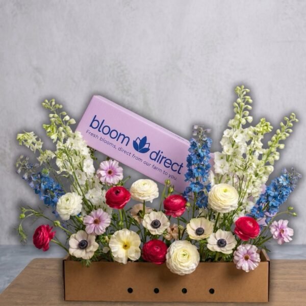 Bloom Direct - Premium Wholesale Flowers | Ranunculus & Anemones