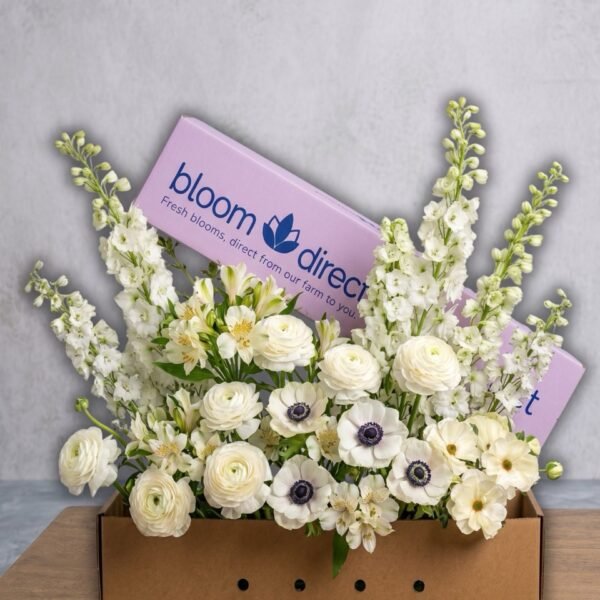 Bloom Direct - Premium Wholesale Flowers | Ranunculus & Anemones