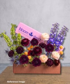 Copper Meadow Deluxe Box