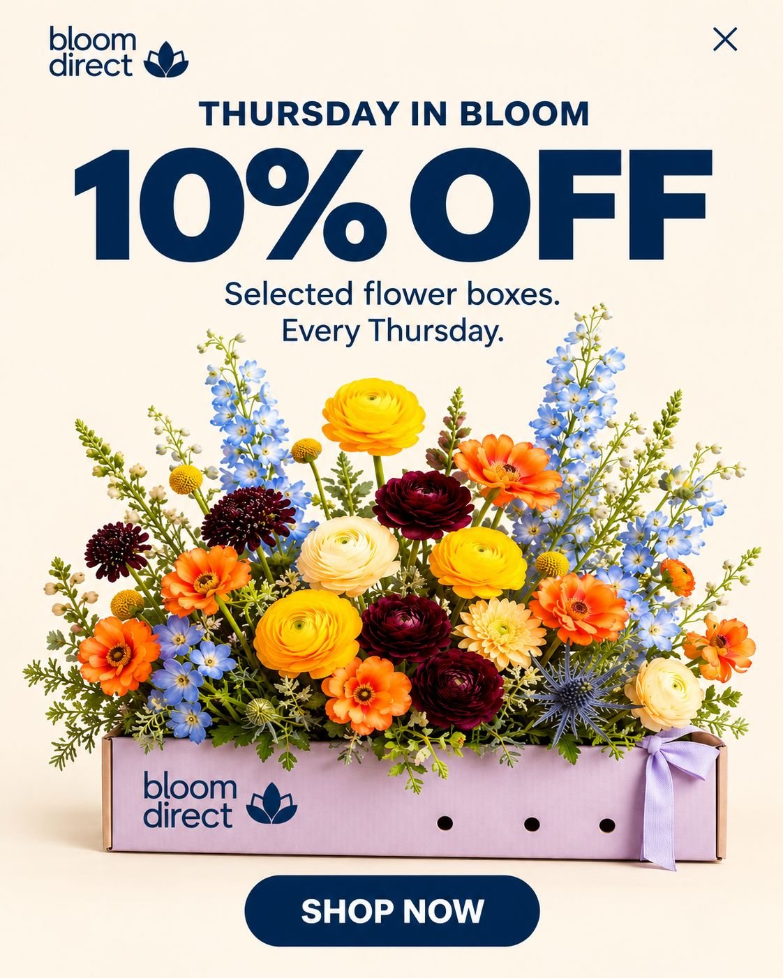 Thursday in Bloom - 10% off selected flower boxes